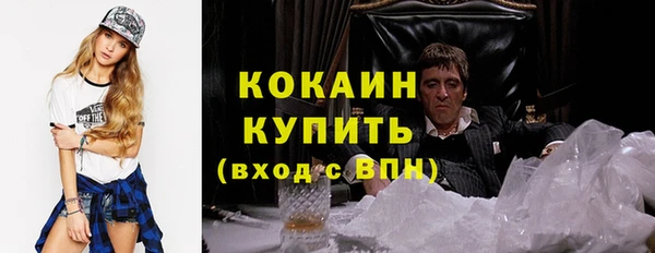 шишки Горнозаводск