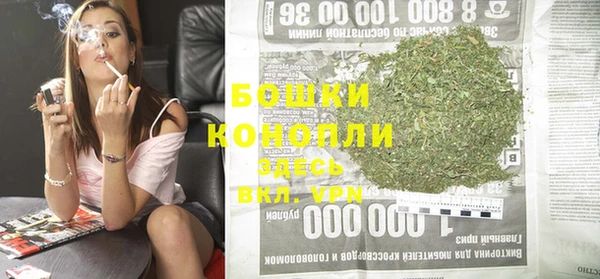 шишки Горнозаводск