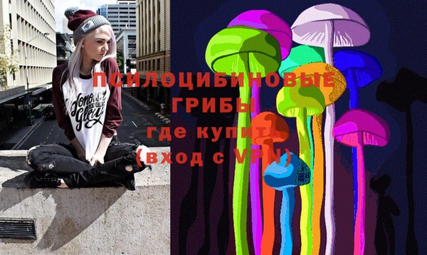 шишки Горнозаводск