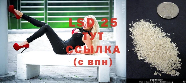 шишки Горнозаводск