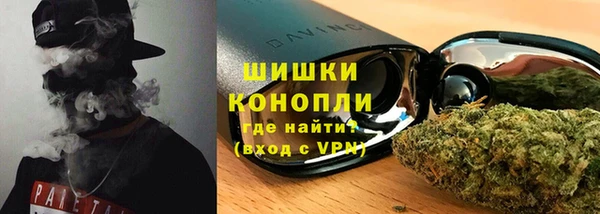 шишки Горнозаводск