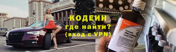 шишки Горнозаводск