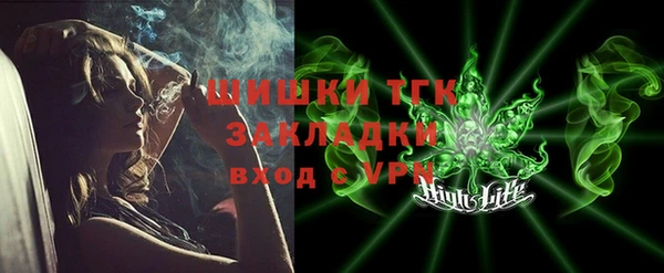 шишки Горнозаводск