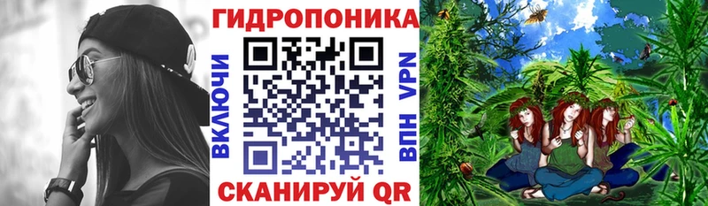 Бошки Шишки THC 21% Городище